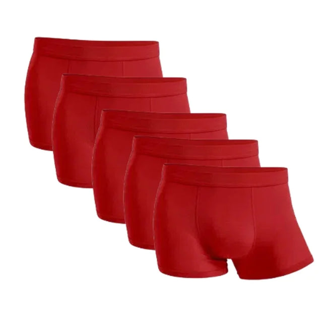 Five-Pack Bamboo Boxers for Men