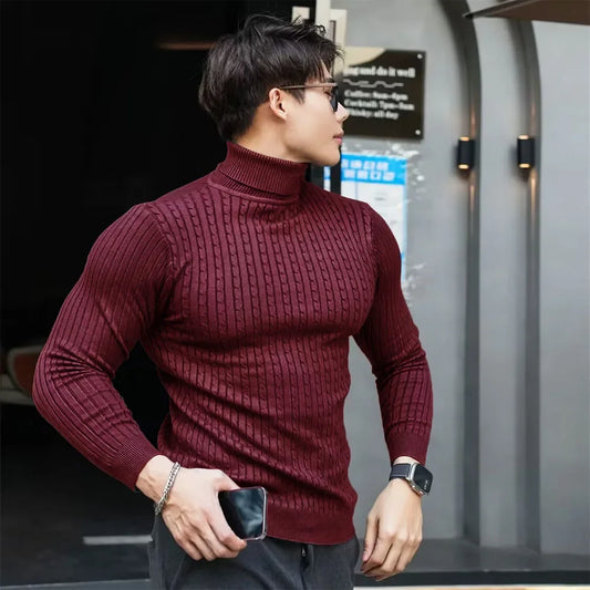 Men's Striped Knit Long Sleeve Turtleneck Sweater