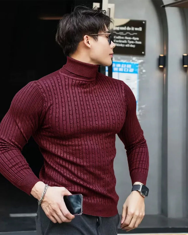 Men's Striped Knit Long Sleeve Turtleneck Sweater