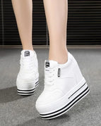 White / 6