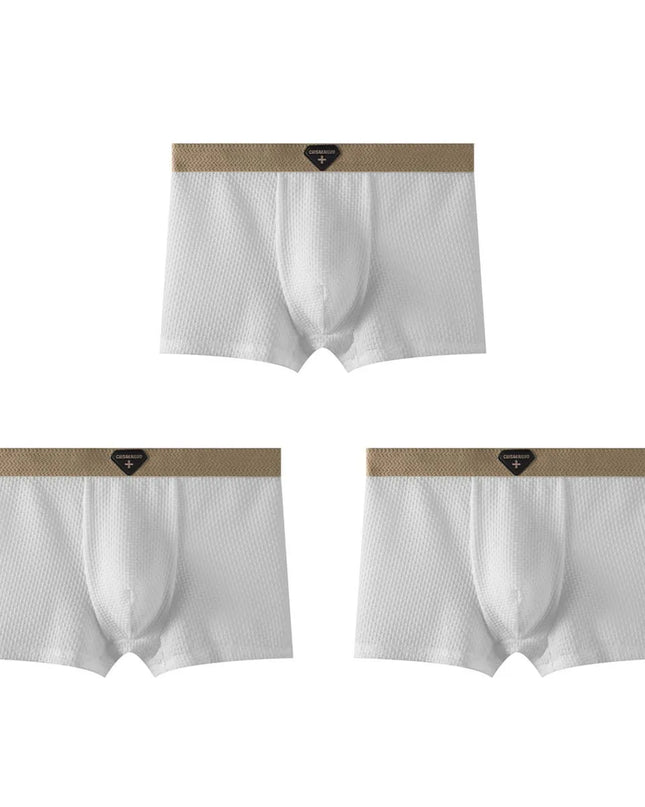 3-Pack Men's Ice Silk Boxers - Cool, Breathable, and Comfortable
