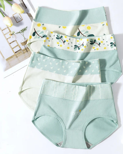 Set of 4 High-Waist Cotton Women's Underwear Briefs